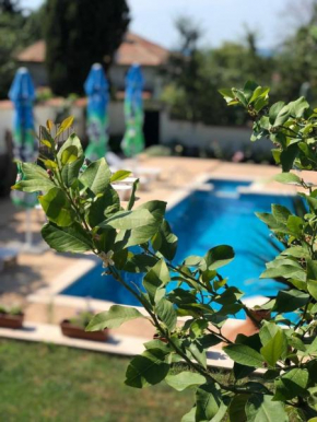 Villa Iva